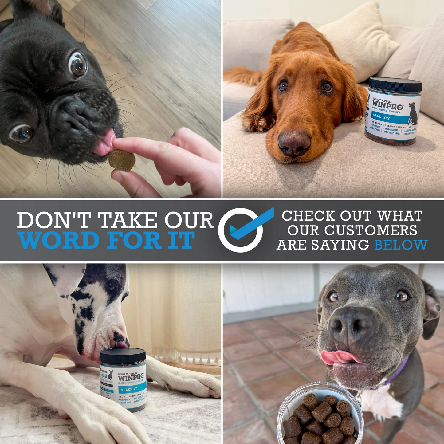 WINPRO Allergy Chews