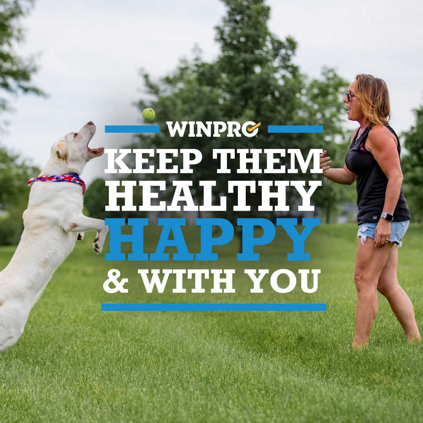 WINPRO Allergy Chews